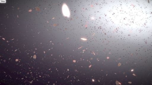 CSS Creative Visual Effects