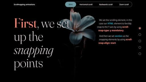 CSS Creative Animation Effects